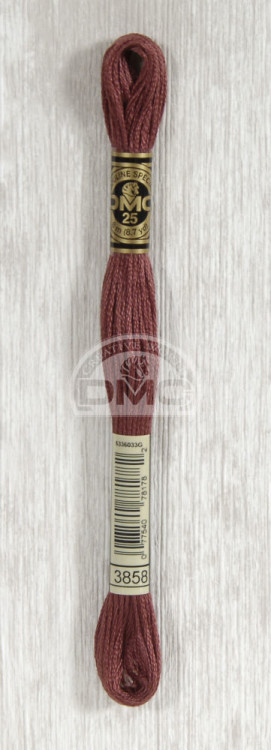 Mouline DMC 3858