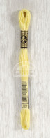 Mouline DMC 727
