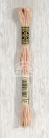 Mouline DMC 754